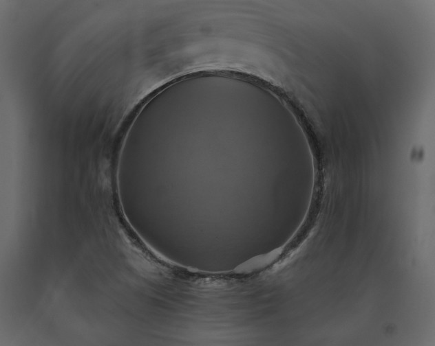 X0000091541505200708241722