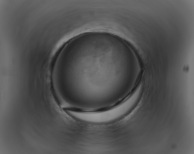 X0000091541506200708241722