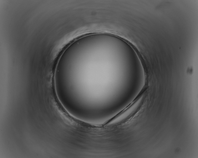 X0000091541507200708241722