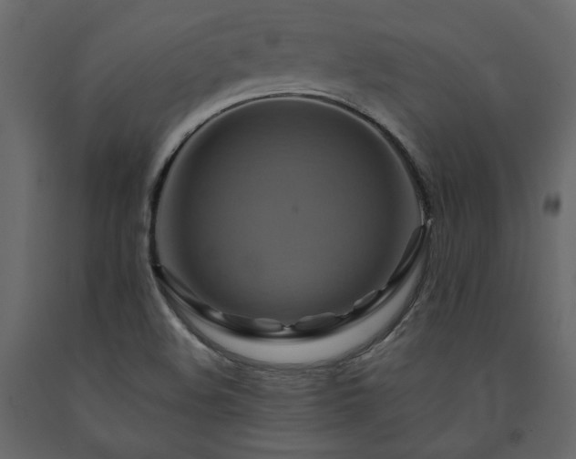X0000091541508200708241722