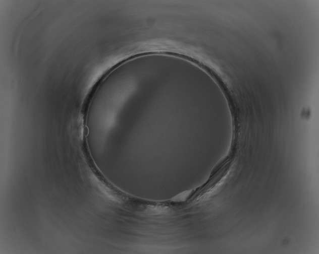 X0000091541509200708241722