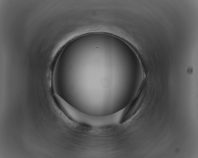 X0000091541510200708241722