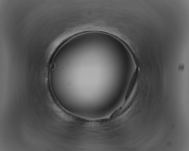 X0000091541511200708241722
