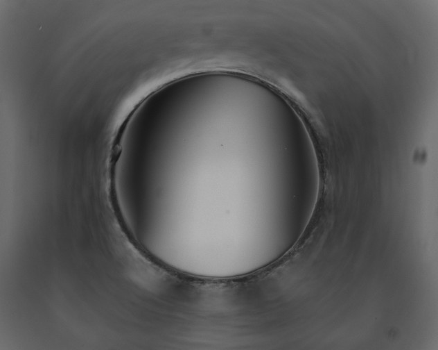 X0000091541512200708241722