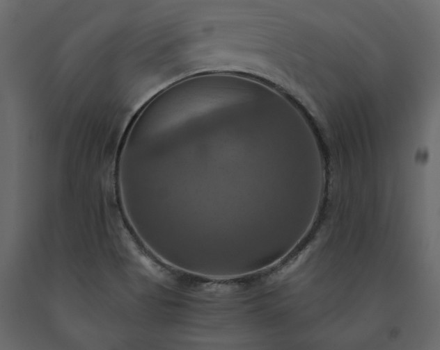X0000091541513200708241722