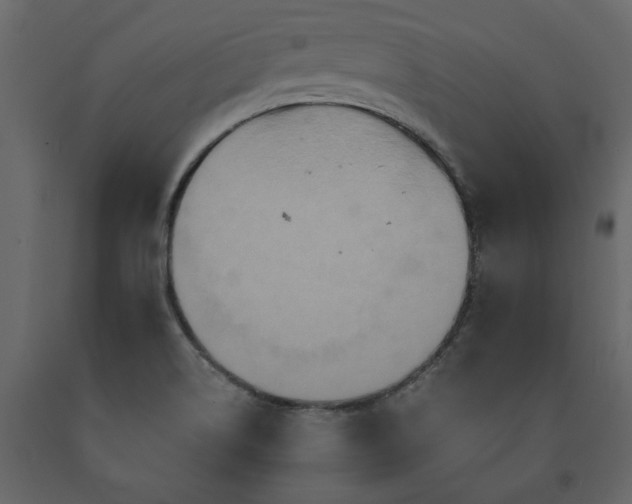 X0000091541514200708241722