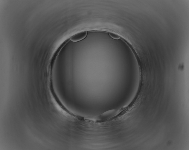 X0000091541515200708241722