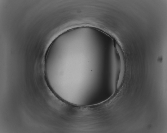 X0000091541516200708241722