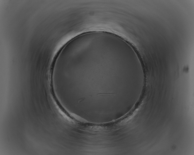 X0000091541517200708241722
