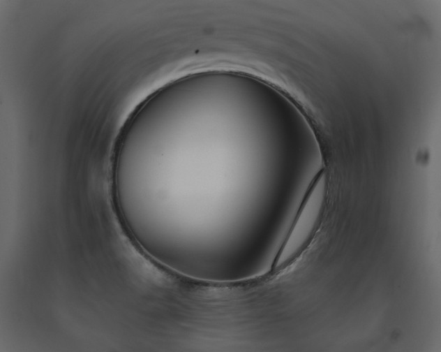 X0000091541518200708241722