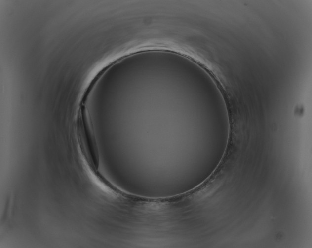 X0000091541519200708241722