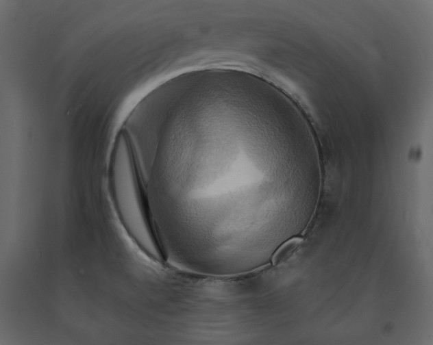 X0000091541520200708241722