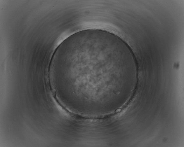 X0000091541521200708241722