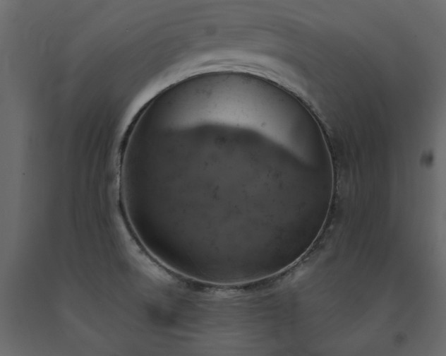 X0000091541522200708241722