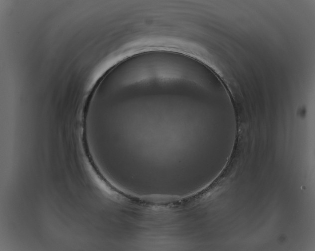 X0000091541523200708241722
