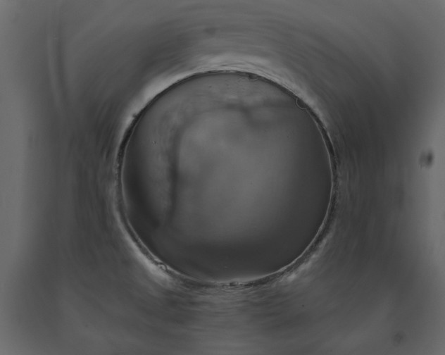 X0000091541525200708241722