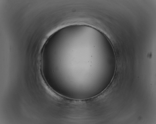 X0000091541526200708241722