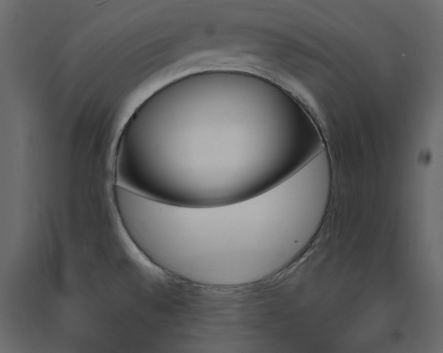 X0000091541528200708241722