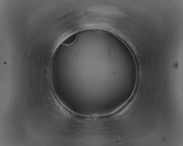 X0000091541529200708241722