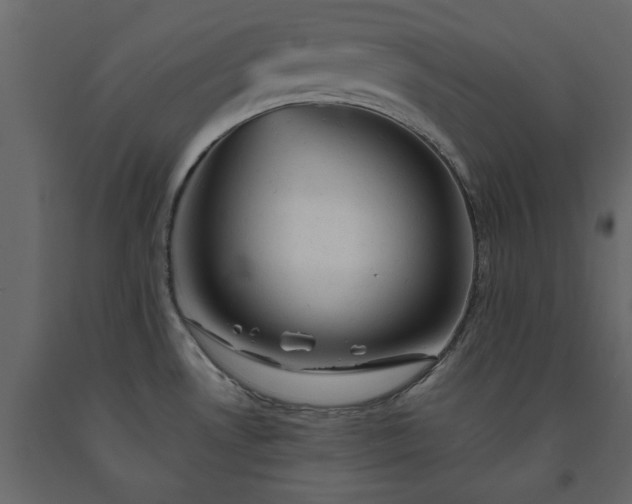 X0000091541530200708241722