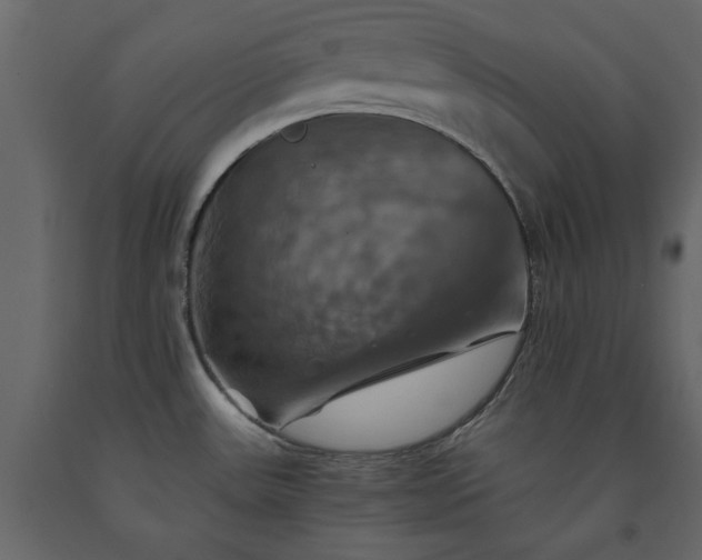 X0000091541531200708241722