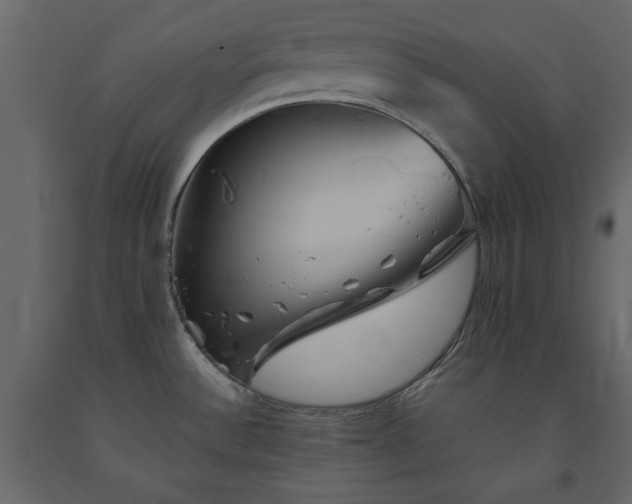 X0000091541532200708241722
