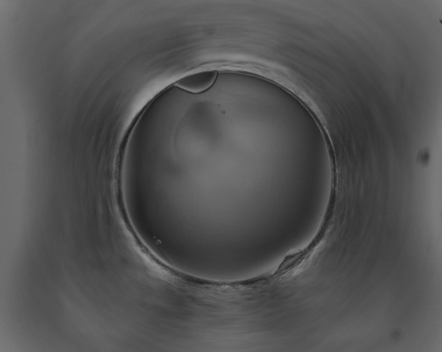 X0000091541533200708241722