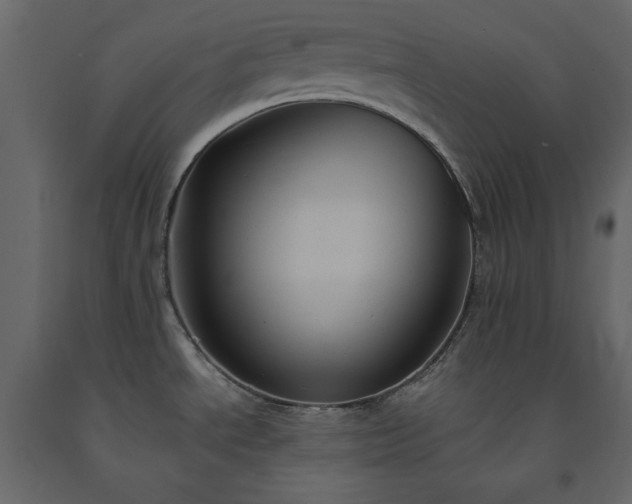 X0000091541534200708241722