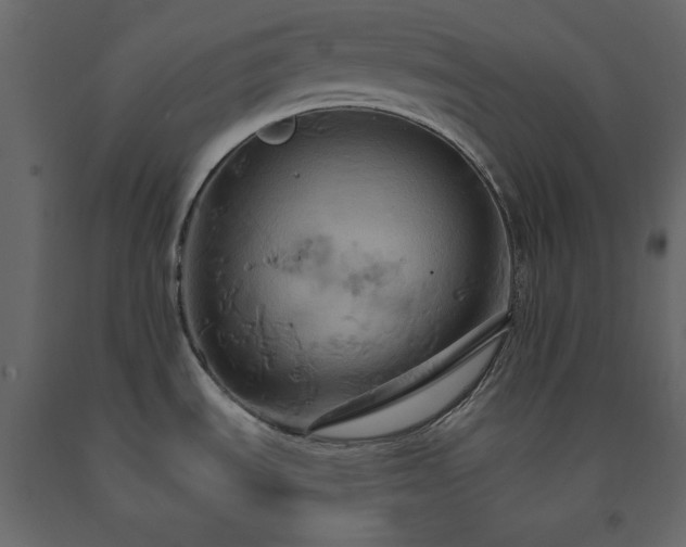 X0000091541535200708241722