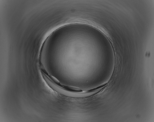 X0000091541536200708241723