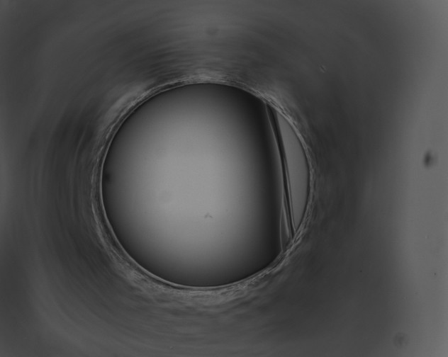 X0000091540001200708311342