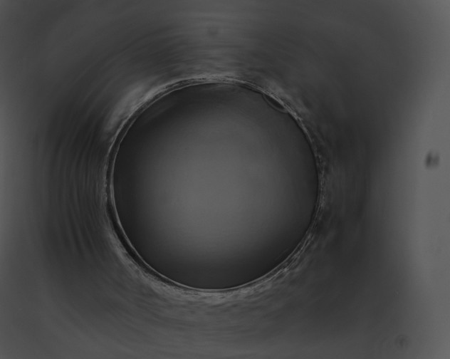 X0000091540002200708311342