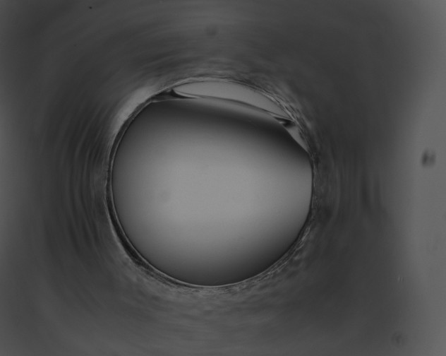 X0000091540003200708311342