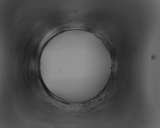 X0000091540004200708311342