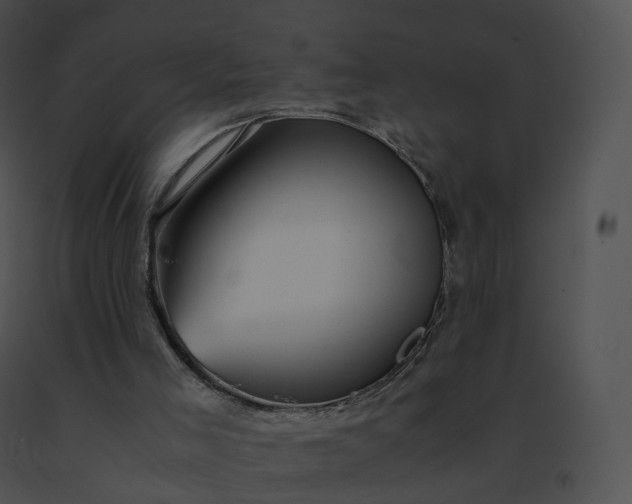 X0000091540005200708311342