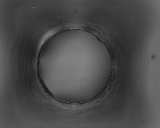 X0000091540006200708311342