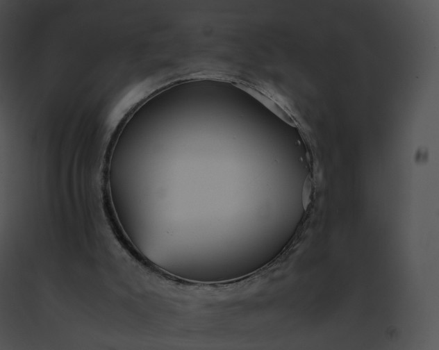 X0000091540007200708311342