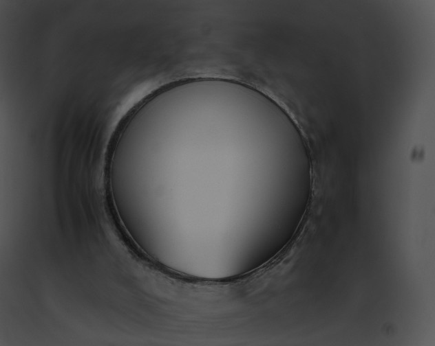 X0000091540008200708311342