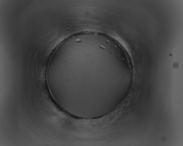 X0000091540009200708311342