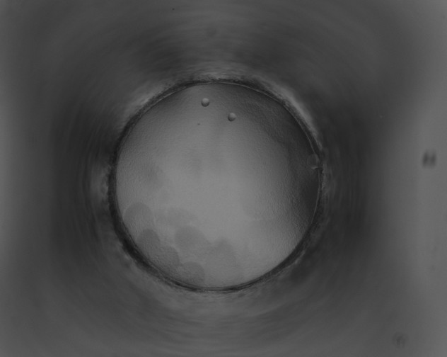 X0000091540010200708311342