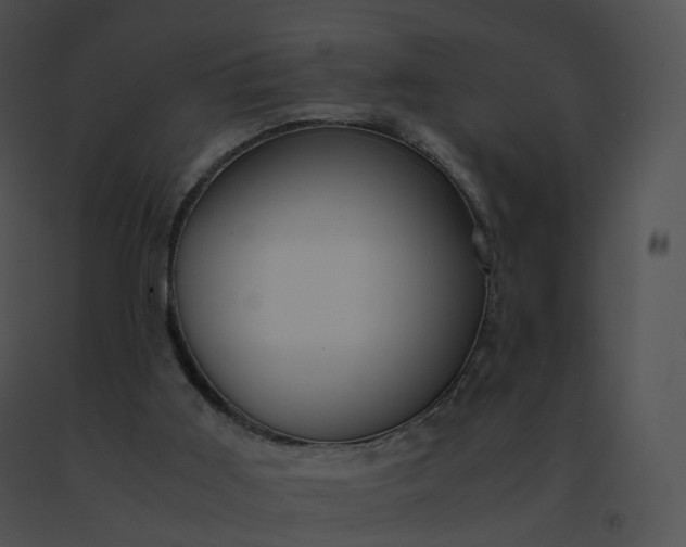 X0000091540011200708311342