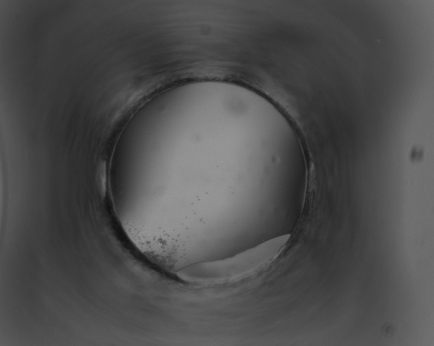 X0000091540013200708311342