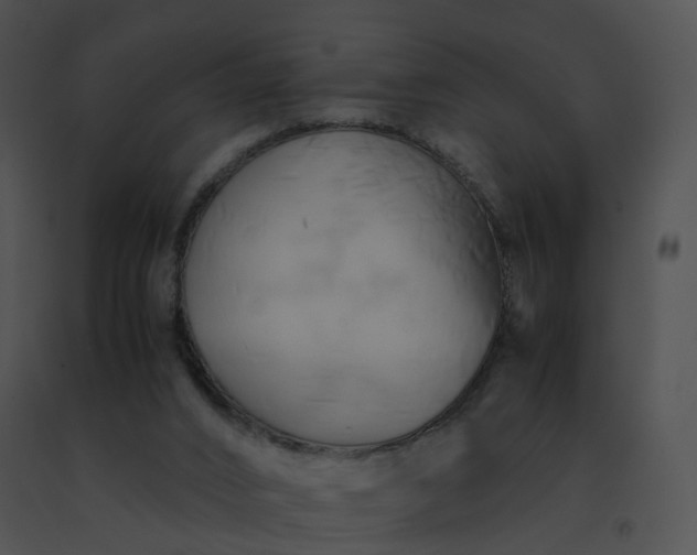 X0000091540016200708311342