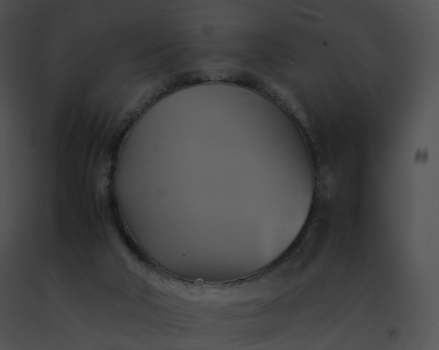 X0000091540018200708311342