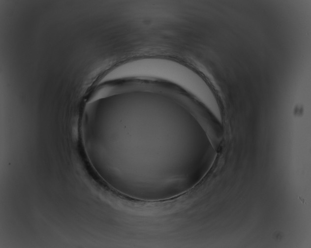 X0000091540019200708311342