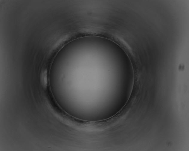 X0000091540020200708311342