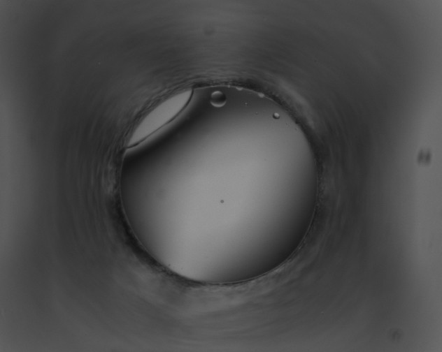 X0000091540025200708311342