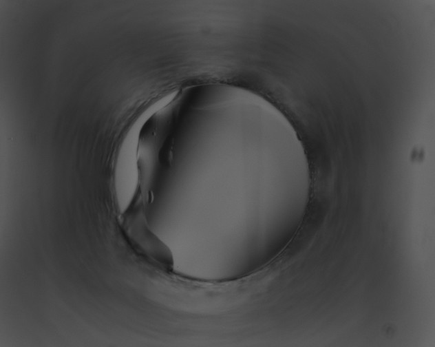 X0000091540027200708311342