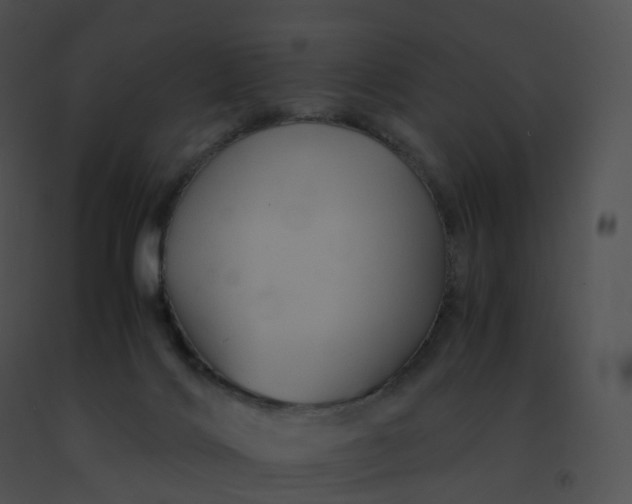 X0000091540028200708311342