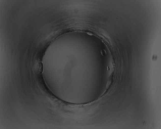 X0000091540029200708311342